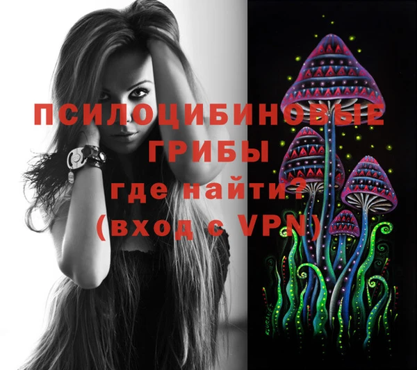 jwh Белокуриха